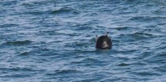 Морска мина