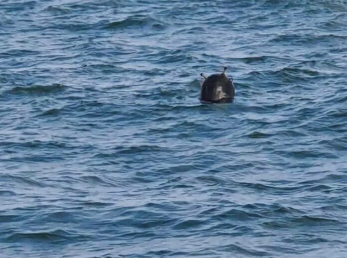 Морска мина