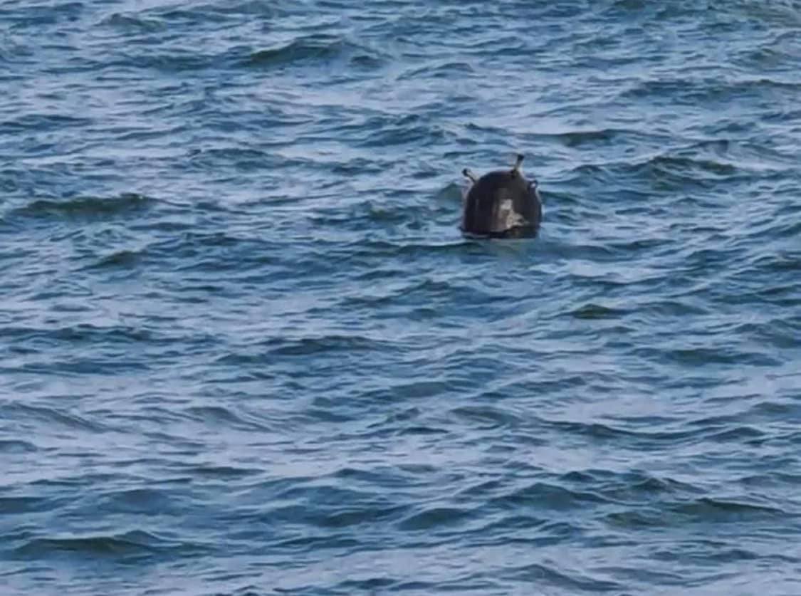 Обезвреждането на морската мина край плаж Кабакум във Варна не
