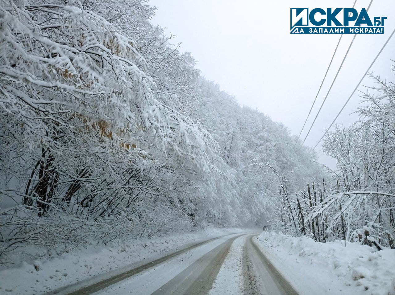Януари започна с топло и предимно слънчево време на места