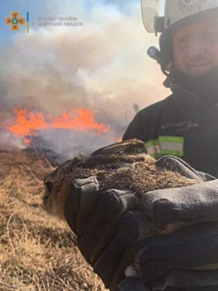 Спасено зайче