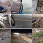 Редица успешни акции срещу бракониери