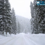 Зима, сняг, път