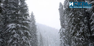 Зима, сняг, път