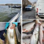 Акции на ИАРА