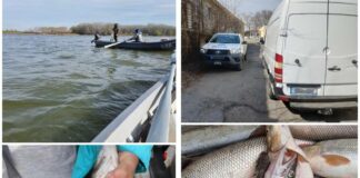 Акции на ИАРА