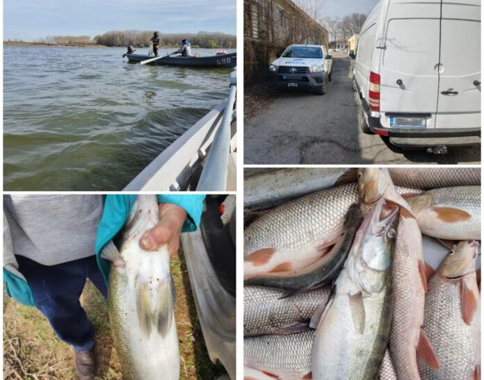 Акции на ИАРА