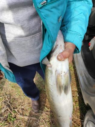 Акция на "РК-Шумен"