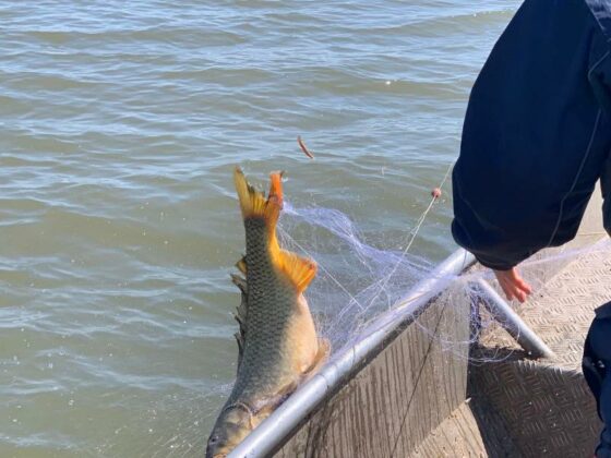 Акция в язовир Мандра