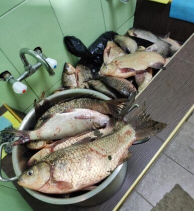 Акция в язовир Тича