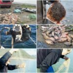 Акции срещу бракониери