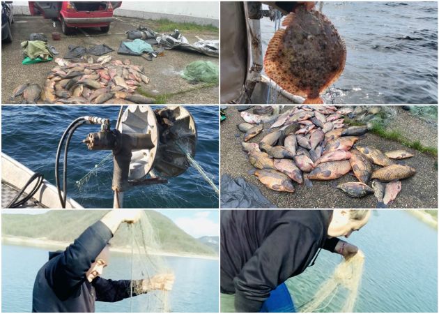 Акции срещу бракониери