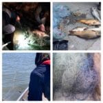 Акции на ИАРА