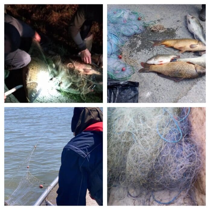 Акции на ИАРА