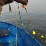 Акция срещу бракониери