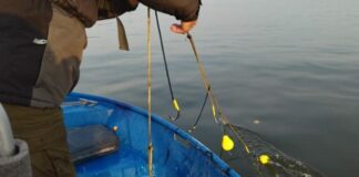 Акция срещу бракониери