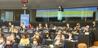 Диана Ковачева в Страсбург