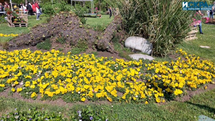 "Флора 2022"-Бургас