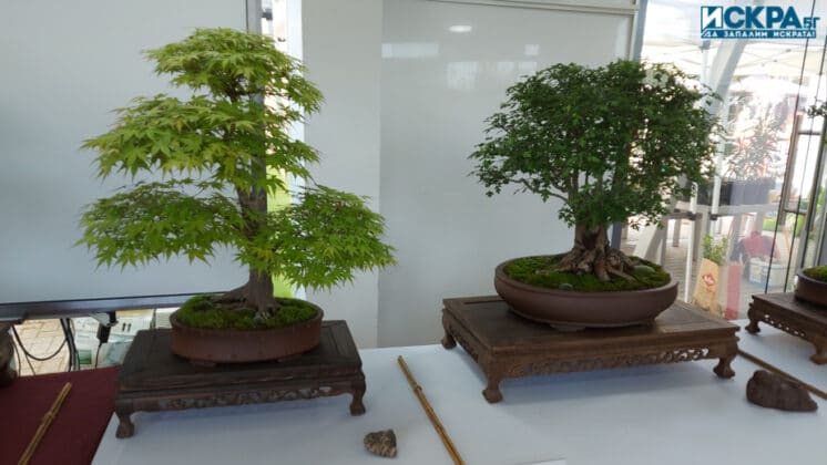 "Флора 2022"-Бургас