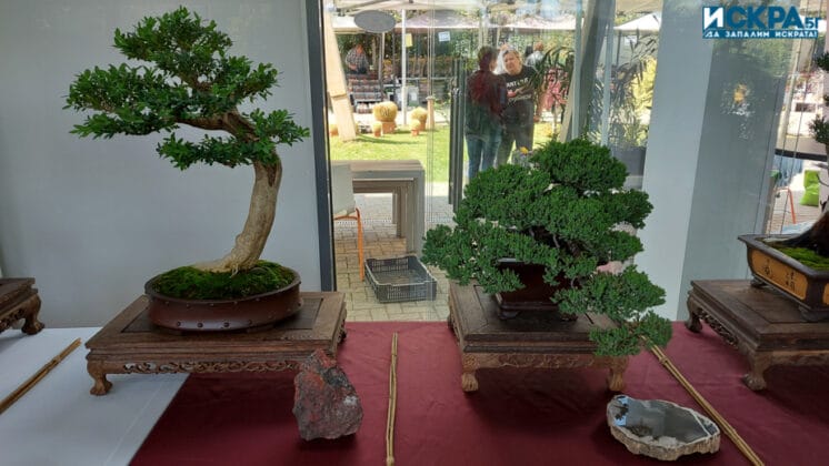 "Флора 2022"-Бургас