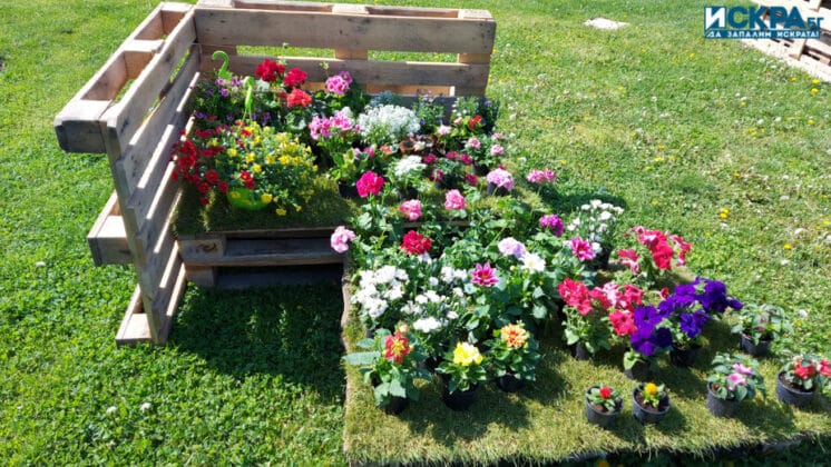 "Флора 2022"-Бургас