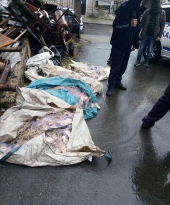 Акция на ИАРА