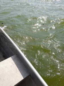 Акция срещу бракониери