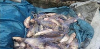 Акция на ИАРА