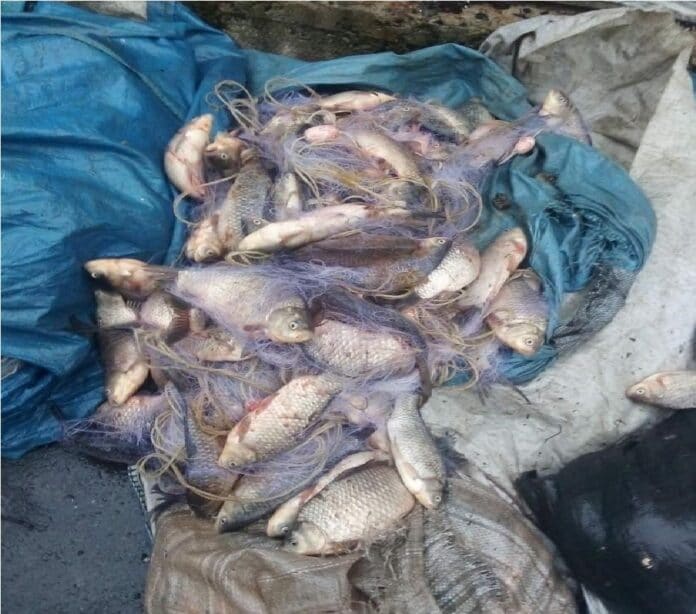 Акция на ИАРА