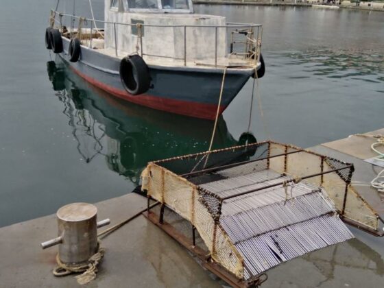 Акция на ИАРА