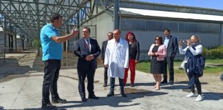 Иван Иванов в Пловдивско