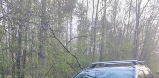 Автомобил на каналджии