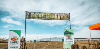 Новата гора на София