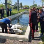 Обучение, медии