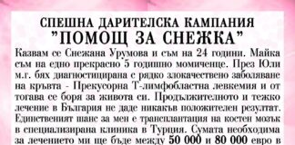 Помощ за Снежка