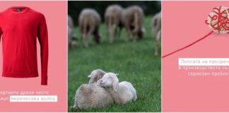 Производство на вълна