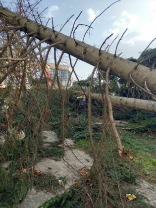 Щети във Враца