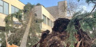 Щети във Враца