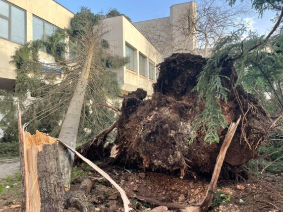 Щети във Враца