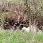 Замърсяване