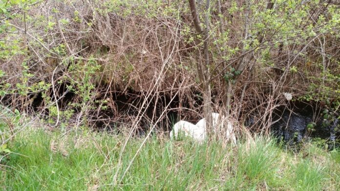 Замърсяване