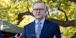 Антъни Албанезе