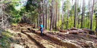 Александър Дунчев