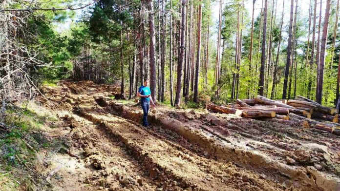 Александър Дунчев