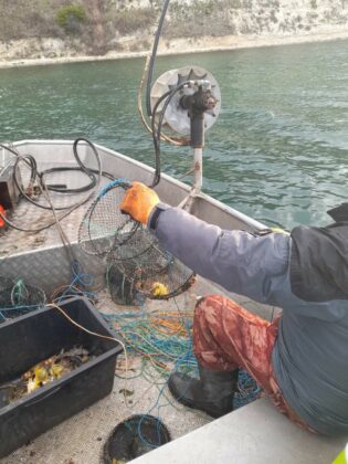 Акция на "Рибарство и контрол-Добрич"