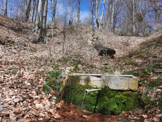 Чешма край хижа "Братан"