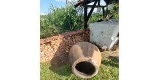 Делиум питус