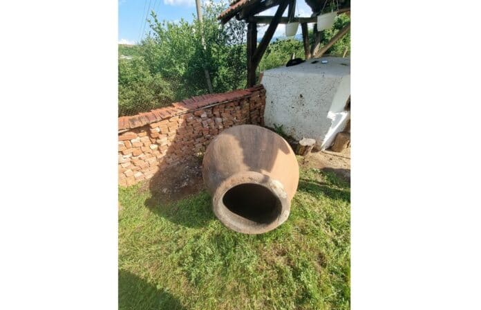 Делиум питус