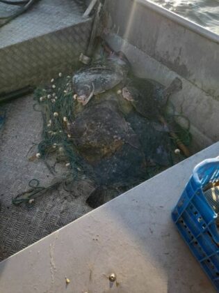 Акция на "Рибарство и контрол-Добрич"