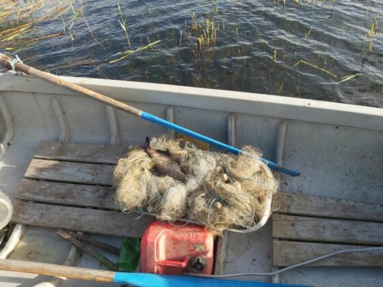 Акция на "Рибарство и контрол-Добрич"